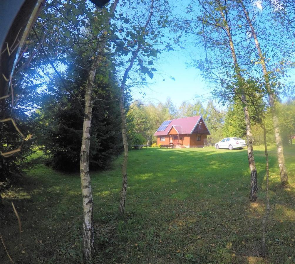 Domek NAD STRUMIENIEM Baligród Zewnętrze zdjęcie